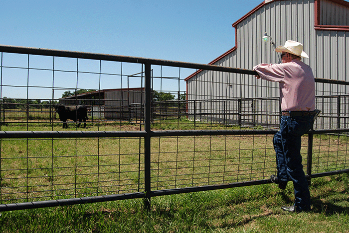 Mike Kammerer'58, Senior Vice President Dresser Industies (Retired) and owner of Red Bird Meadows Ranch, Texas